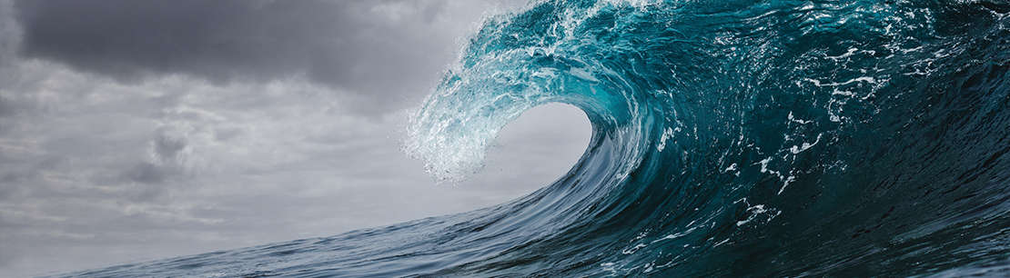 Riding the wave