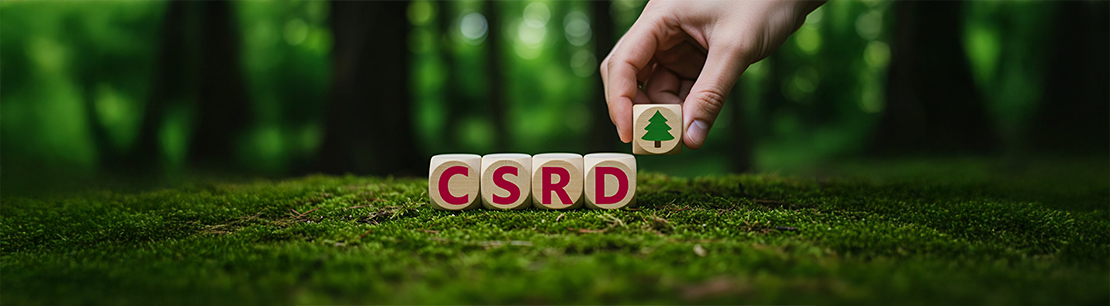 Vier Holzblöcke mit den Buchstaben CSRD und einen weiteren Block mit einem Baumsymbol. Eine Hand setzt gerade den Baustein mit dem Baum dazu