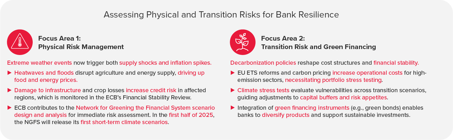 Infografiken: Integrating Climate Risks into ECB-Strategy