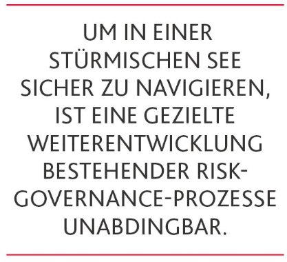 Risk Governance Grafik 2