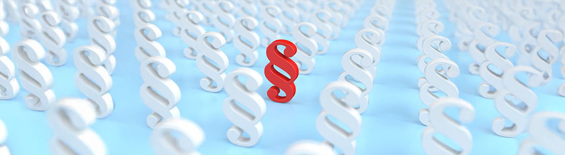Tax & Legal UPDATE KW 21-2025